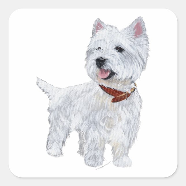 West Highland White Terrier Quadratischer Aufkleber (Vorderseite)
