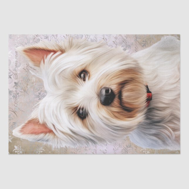 West Highland White Terrier Seidenpapier (Vorderseite)