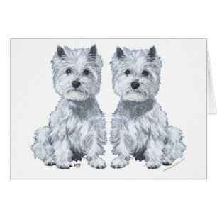 West Highland White Terrier sitzende Zwillinge!