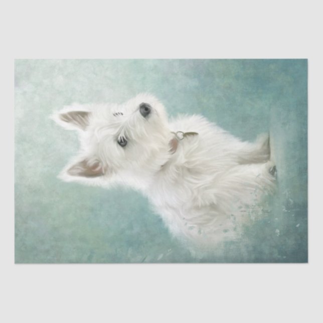 West Highland White Terrier Tissue Paper Seidenpapier (Vorderseite)