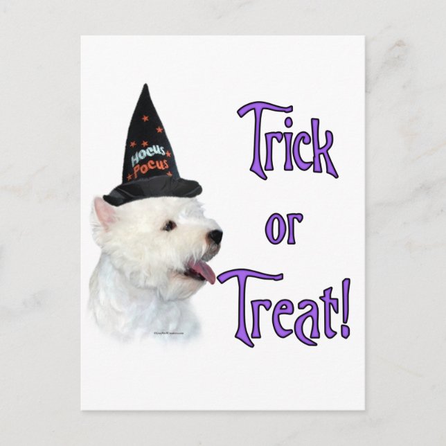 West Highland White Terrier Trick Postkarte (Vorderseite)