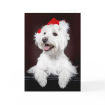 West Highland White Terrier Weihnachtskarte