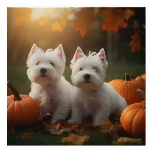 West Highland White Terrier Welpe Herbstkürbis Poster