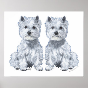 West Highland White Terrier Zwillinge! Poster