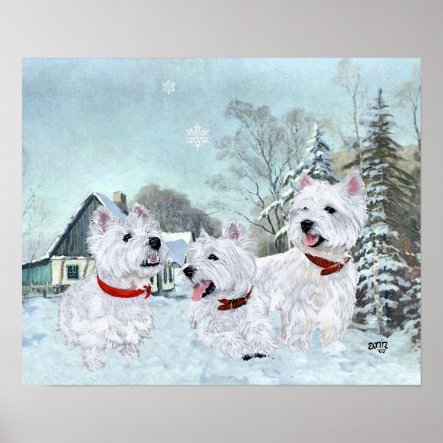 West Highland White Terriers in the Snow Poster (Vorne)