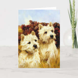 West Highland White Terriers - Wardle Karte