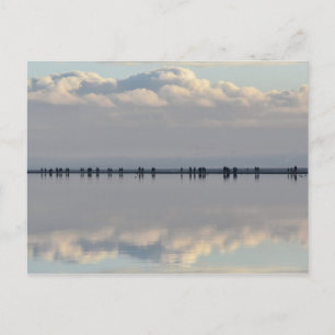 West Kirby Marina Postkarte