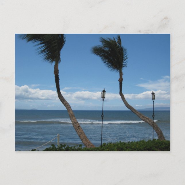 West Maui Palms Postcard Postkarte (Vorderseite)