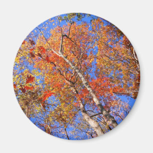 West Mt. Herbst-Heißquellen-Geschenke des National Magnet