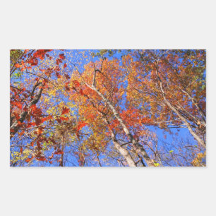 West Mt. Herbst-Heißquellen-Geschenke des National Rechteckiger Aufkleber