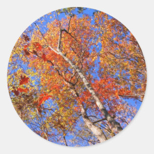 West Mt. Herbst-Heißquellen-Geschenke des National Runder Aufkleber