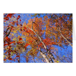 West Mt Herbst Hot Springs Nationalpark Geschenke