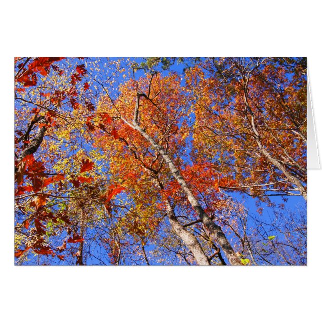 West Mt Herbst Hot Springs Nationalpark Geschenke (Vorderseite (Horizontal))