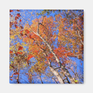 West Mt Herbst Hot Springs Nationalpark Geschenke Magnet