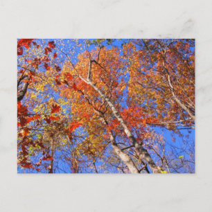 West Mt Herbst Hot Springs Nationalpark Geschenke Postkarte