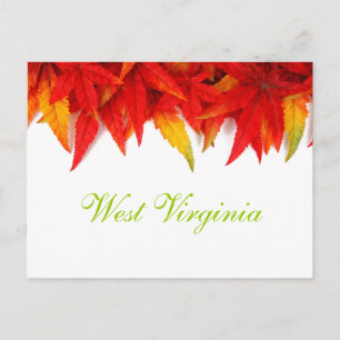 West Virginia Autumn Leaves Postcard Postkarte