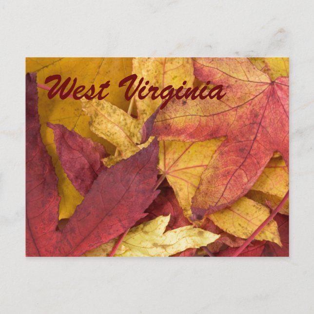 West Virginia Autumn Leaves Postcard Postkarte (Vorderseite)