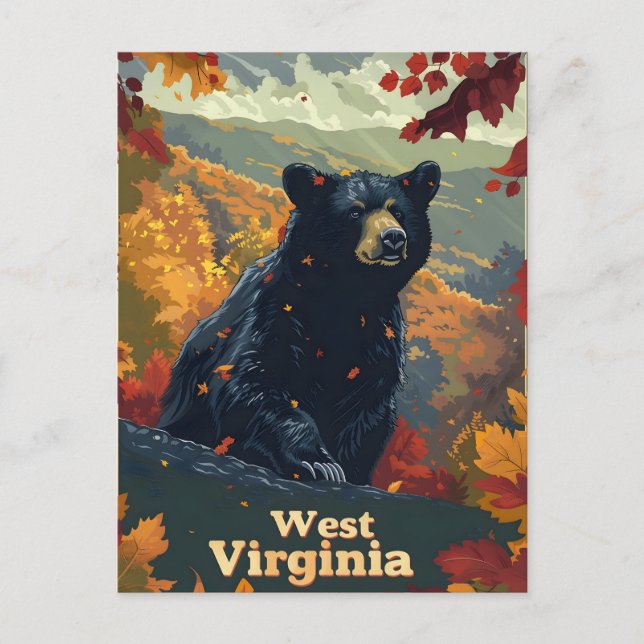 West Virginia Black Bear Postkarte (Vorderseite)