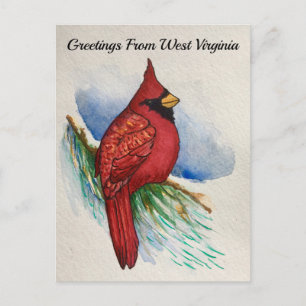 West Virginia Staat Bird Kardinal Watercolor Postkarte