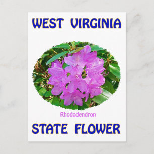 West Virginia Staat Blume T - Shirt & Geschenke Postkarte
