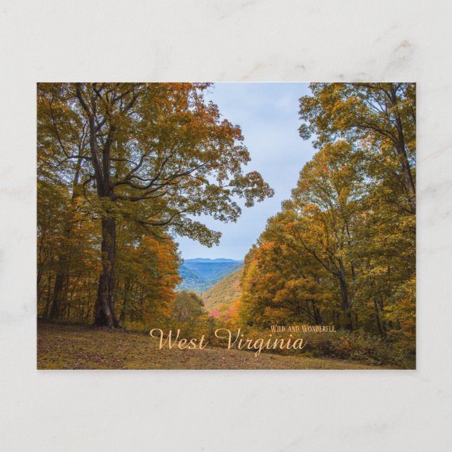 West Virginia Wild and Wonderful Fall Foliage Postkarte (Vorderseite)