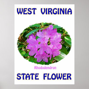 West- VirginiaStaats-Blume, Rhododendron, Plakat