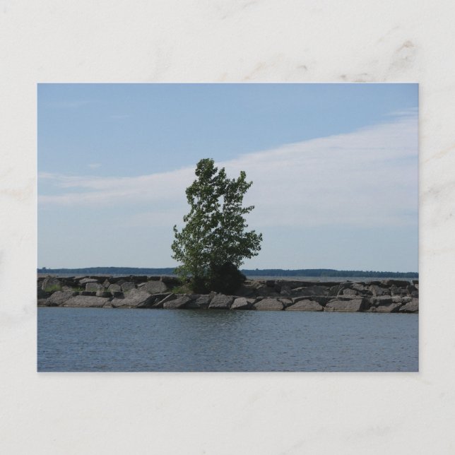 Westcott Bay Postkarte (Vorderseite)