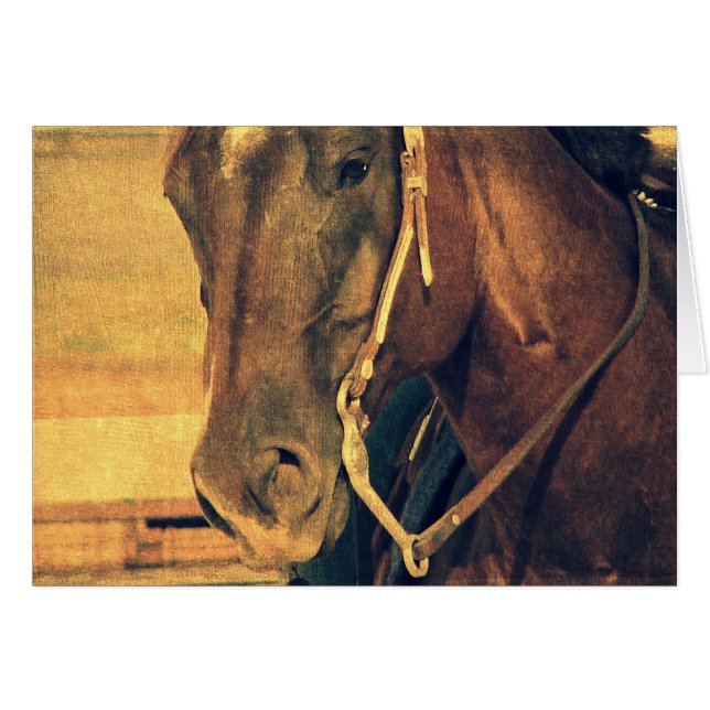 Western (Vorderseite (Horizontal))