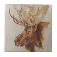 Western American Animal Study | Elche Portrait