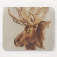 Western American Animal Study | Elche Portrait