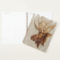 Western American Animal Study | Elche Portrait