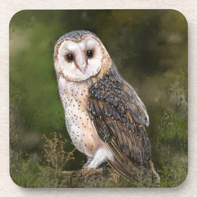 Western Barn Owl Beverage Coaster - Malerei Getränkeuntersetzer (Vorderseite)