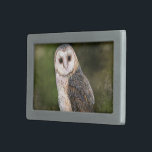 Western Barn Owl Gürtelschnalle - Grün<br><div class="desc">Western Barn Owl - Migne Wasserfarben Malerei Kunst,  Bird of Forest</div>