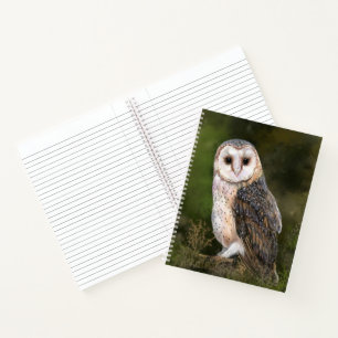 Western Barn Owl Notebook Notizbuch
