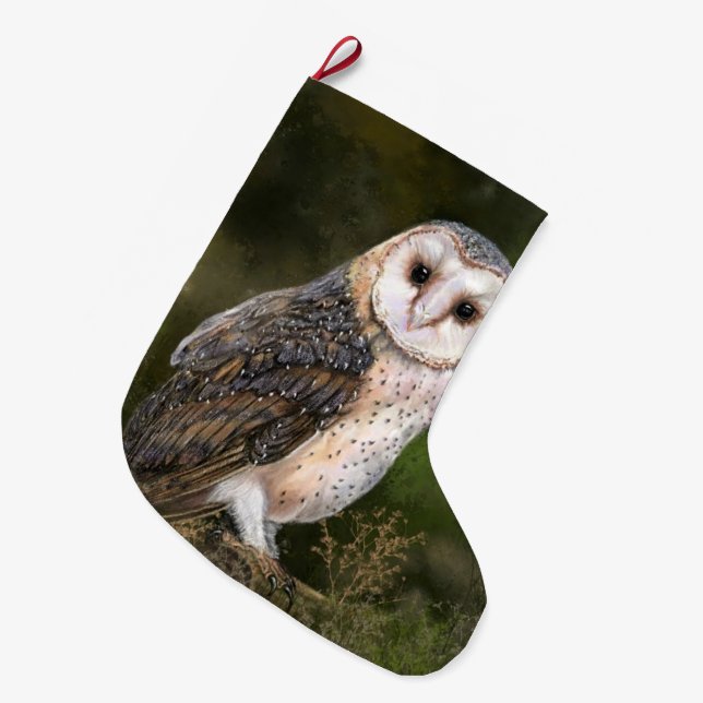 Western Barn Owl Weihnachtsgeschenk Strumpf Großer Weihnachtsstrumpf (Vorderansicht (hängend))