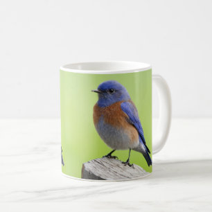 Western Bluebird Tasse