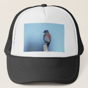 Western bluebird truckerkappe