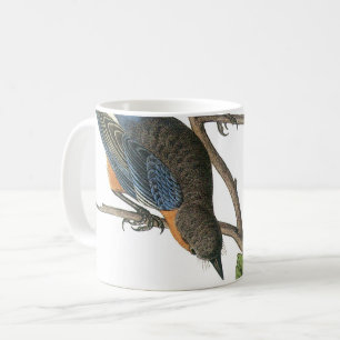 Western Bluebird von Audubon Kaffeetasse