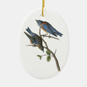 Western Bluebird von Audubon Keramikornament