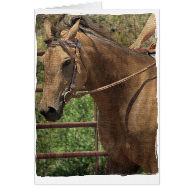 Western Buckskin Pferd (Vorne)