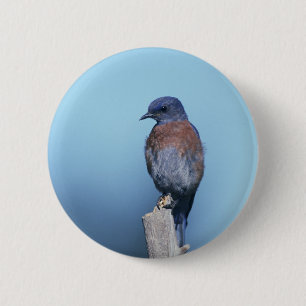 Western Button