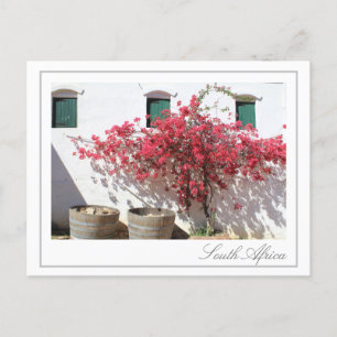 Western Cape Wine Farm Gebäude Stadtbild Postkarte