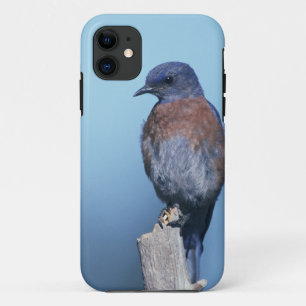 Western Case-Mate iPhone Hülle