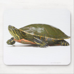 Western (Chrysemys picta bellii), Mousepad