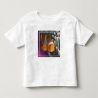 Western Clown Anemone Fish