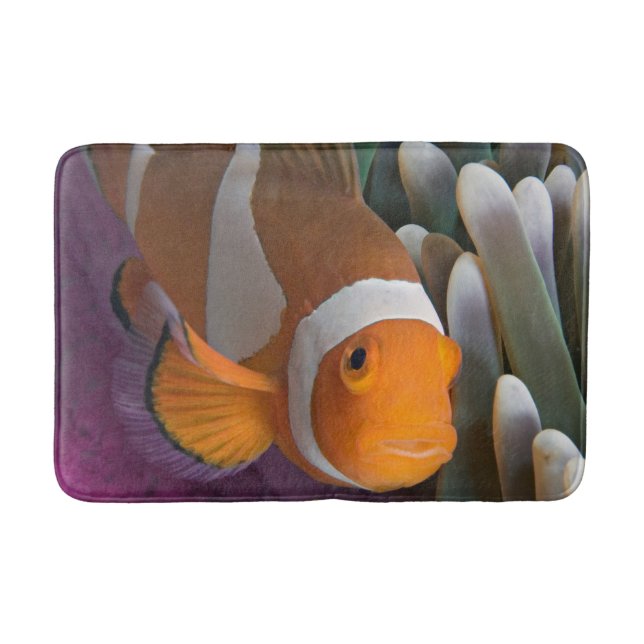 Western Clown-Anemonenfisch Badematte (Vorderseite)
