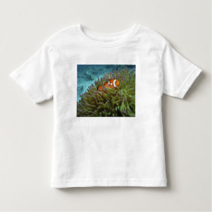 Western Clownfisch (Amphiprion ocellaris) Kleinkind T-shirt