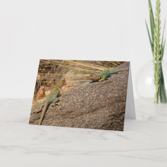 Western Collared Lizards in Colorado Karte (Vorderseite)