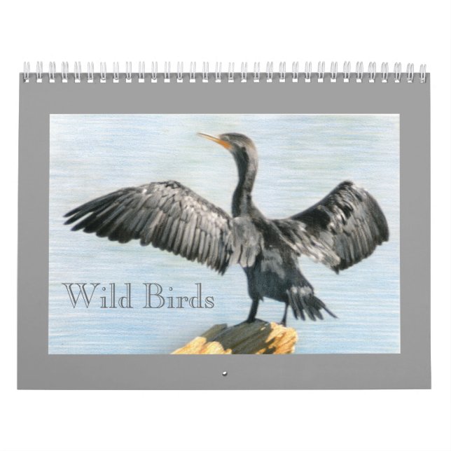 Western Colorado Wildvögel-Kalender Kalender (Titelbild)