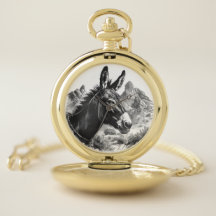 Western Donkey Portrait Wüste Landschaft